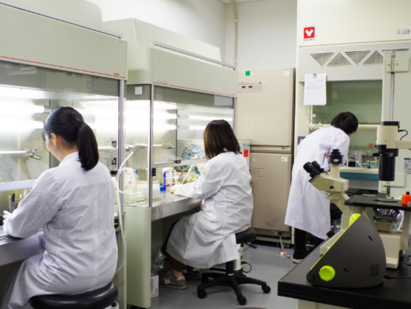 A17c9aaa61e80a1bf71d0d850af4e5baa9800bbd