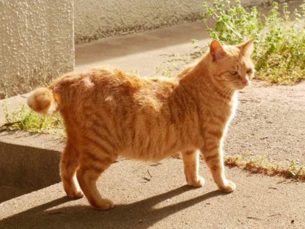 A17c9aaa61e80a1bf71d0d850af4e5baa9800bbd