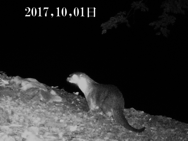 A17c9aaa61e80a1bf71d0d850af4e5baa9800bbd