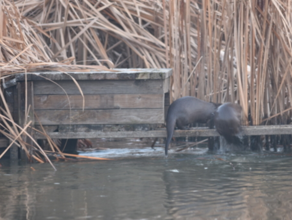 A17c9aaa61e80a1bf71d0d850af4e5baa9800bbd