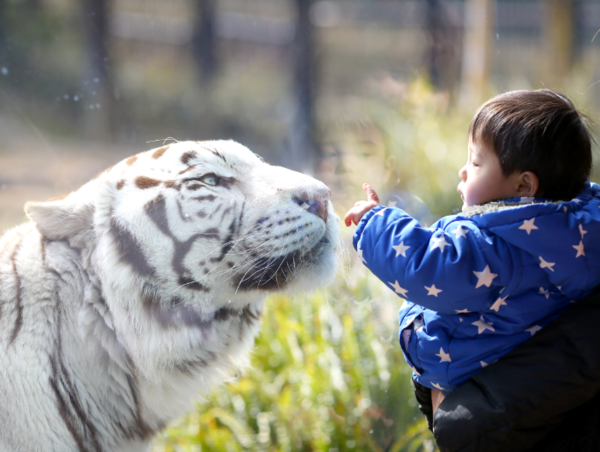 A17c9aaa61e80a1bf71d0d850af4e5baa9800bbd