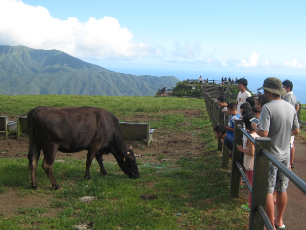 A17c9aaa61e80a1bf71d0d850af4e5baa9800bbd