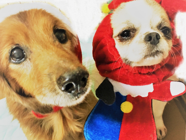 A17c9aaa61e80a1bf71d0d850af4e5baa9800bbd