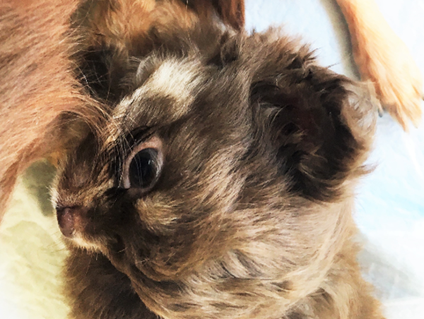 A17c9aaa61e80a1bf71d0d850af4e5baa9800bbd