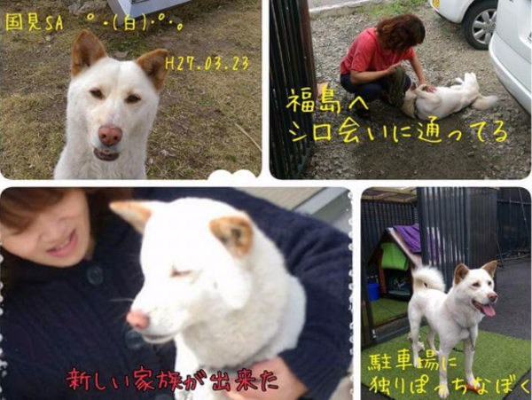 A17c9aaa61e80a1bf71d0d850af4e5baa9800bbd