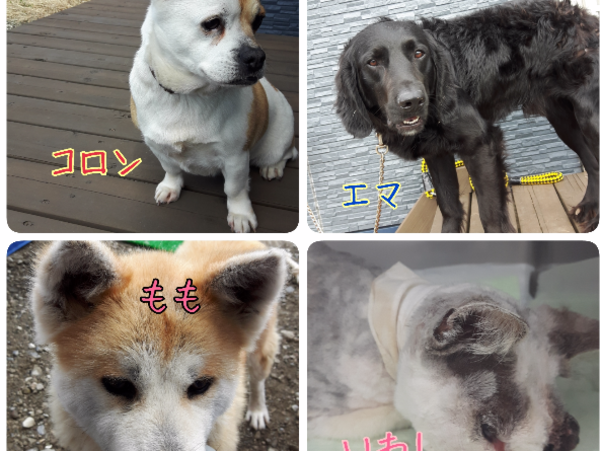 A17c9aaa61e80a1bf71d0d850af4e5baa9800bbd