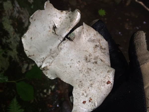 A17c9aaa61e80a1bf71d0d850af4e5baa9800bbd