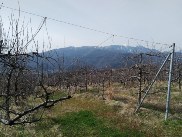 A17c9aaa61e80a1bf71d0d850af4e5baa9800bbd