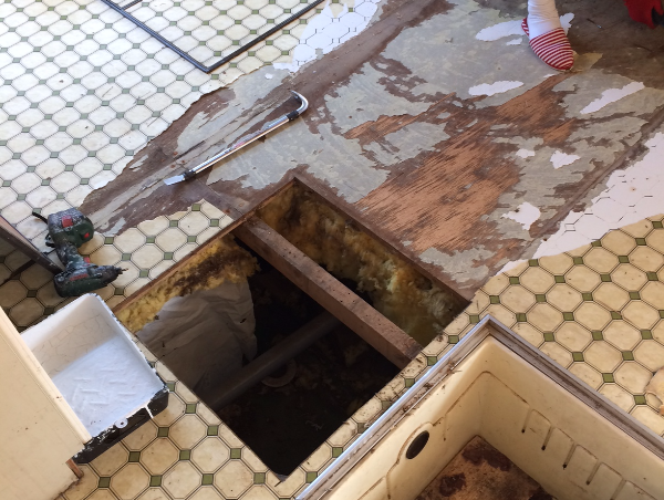 A17c9aaa61e80a1bf71d0d850af4e5baa9800bbd