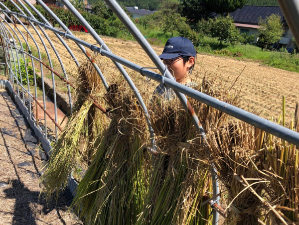 A17c9aaa61e80a1bf71d0d850af4e5baa9800bbd