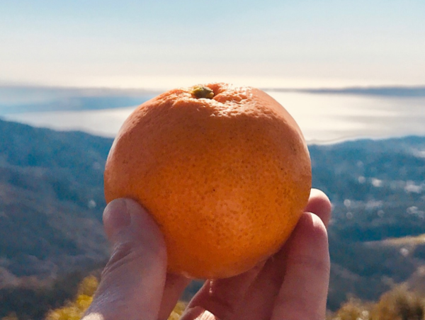 A17c9aaa61e80a1bf71d0d850af4e5baa9800bbd