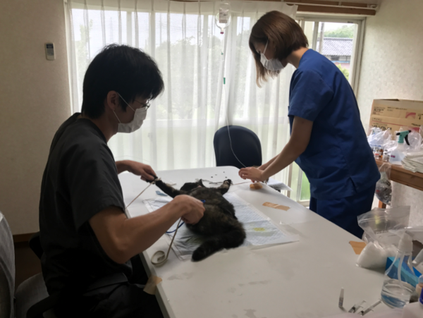 A17c9aaa61e80a1bf71d0d850af4e5baa9800bbd