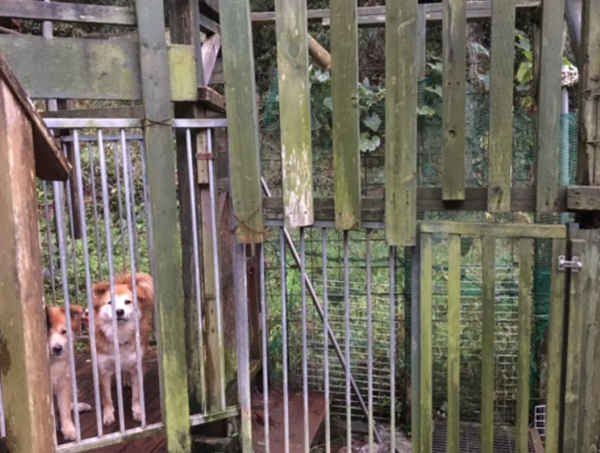 A17c9aaa61e80a1bf71d0d850af4e5baa9800bbd