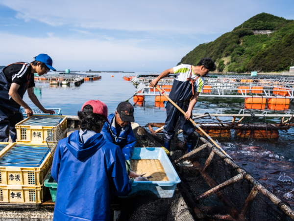 A17c9aaa61e80a1bf71d0d850af4e5baa9800bbd