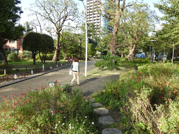 A17c9aaa61e80a1bf71d0d850af4e5baa9800bbd