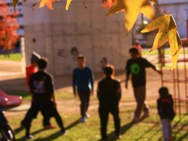 A17c9aaa61e80a1bf71d0d850af4e5baa9800bbd