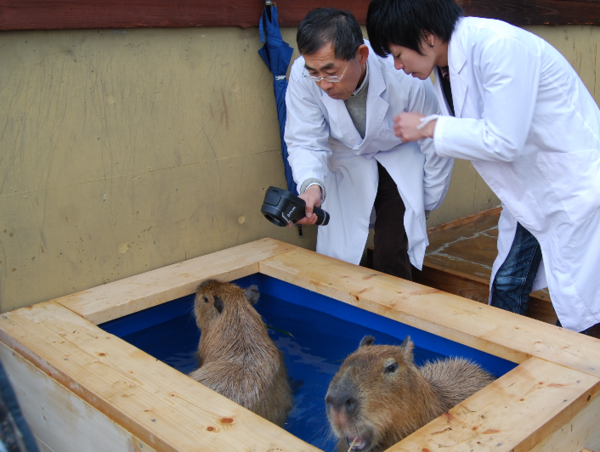 A17c9aaa61e80a1bf71d0d850af4e5baa9800bbd