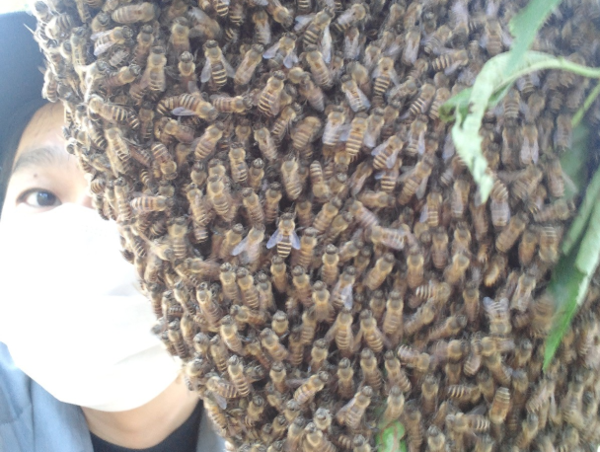 A17c9aaa61e80a1bf71d0d850af4e5baa9800bbd