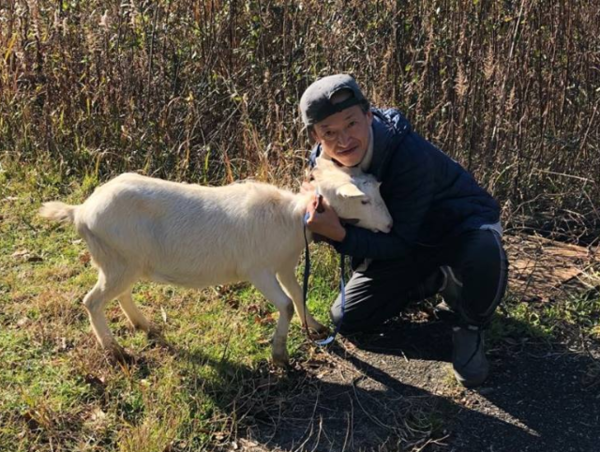 A17c9aaa61e80a1bf71d0d850af4e5baa9800bbd