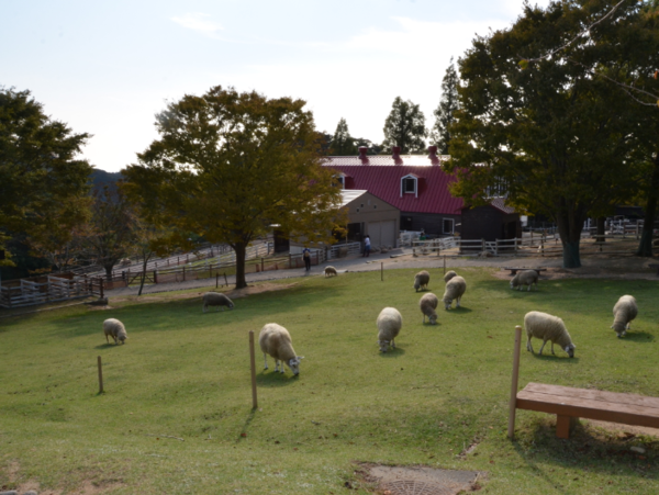 A17c9aaa61e80a1bf71d0d850af4e5baa9800bbd