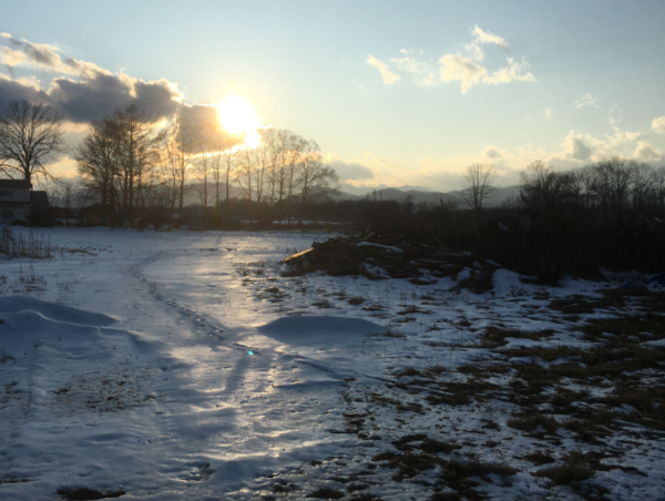 A17c9aaa61e80a1bf71d0d850af4e5baa9800bbd