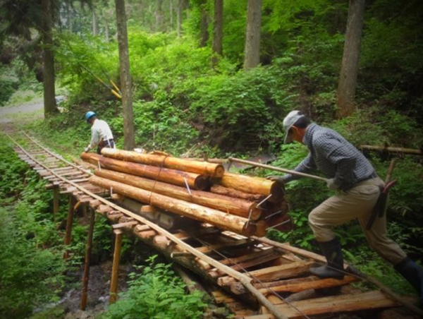 A17c9aaa61e80a1bf71d0d850af4e5baa9800bbd