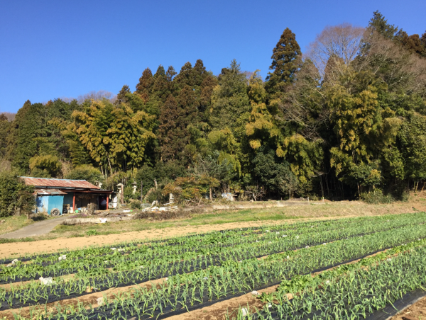 A17c9aaa61e80a1bf71d0d850af4e5baa9800bbd