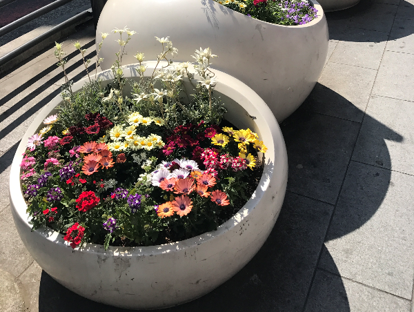 A17c9aaa61e80a1bf71d0d850af4e5baa9800bbd