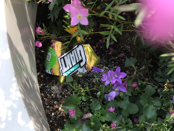 A17c9aaa61e80a1bf71d0d850af4e5baa9800bbd