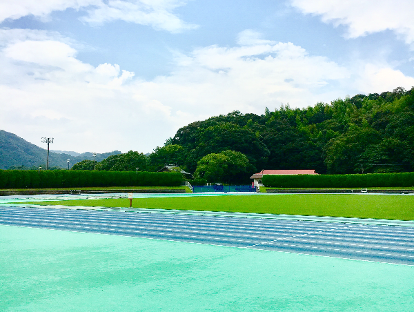 A17c9aaa61e80a1bf71d0d850af4e5baa9800bbd