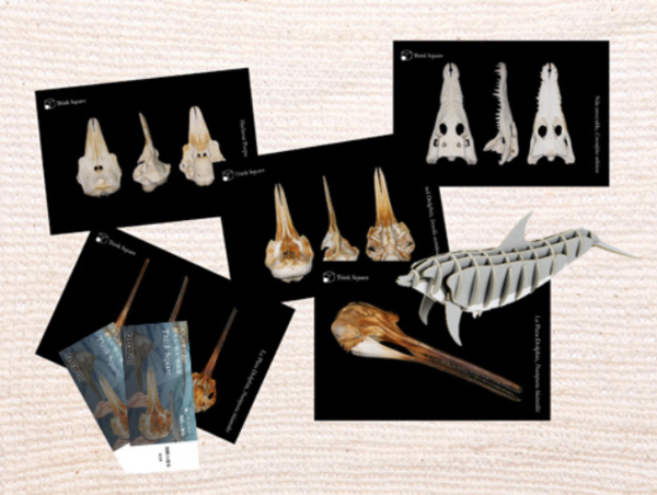 A17c9aaa61e80a1bf71d0d850af4e5baa9800bbd