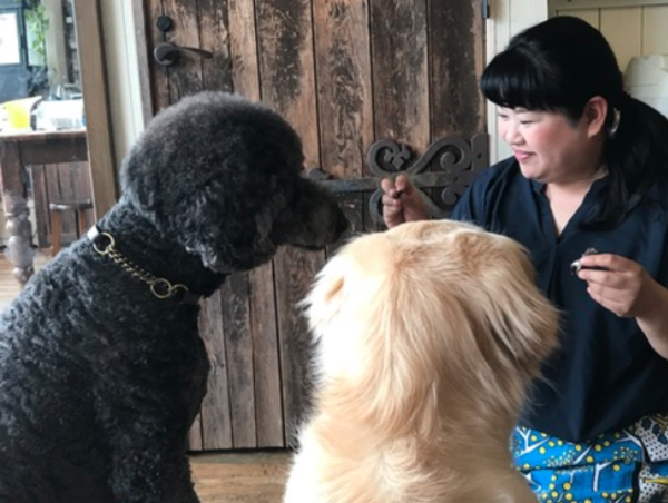 A17c9aaa61e80a1bf71d0d850af4e5baa9800bbd