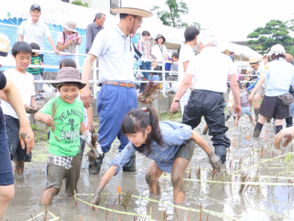 A17c9aaa61e80a1bf71d0d850af4e5baa9800bbd