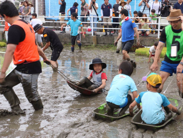 A17c9aaa61e80a1bf71d0d850af4e5baa9800bbd