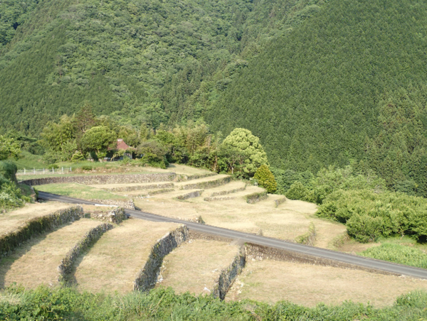 A17c9aaa61e80a1bf71d0d850af4e5baa9800bbd