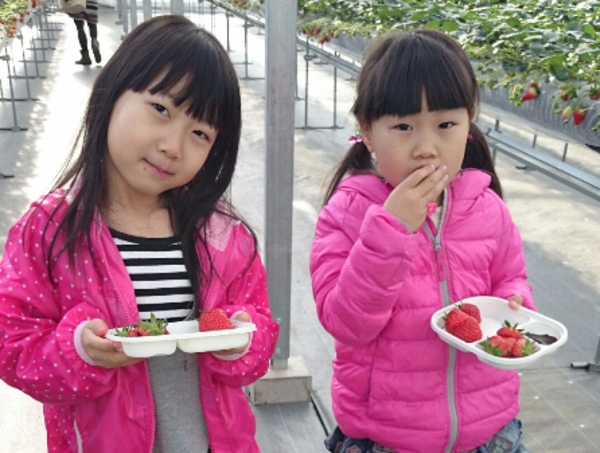 A17c9aaa61e80a1bf71d0d850af4e5baa9800bbd