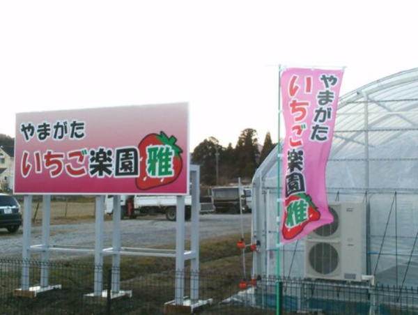 A17c9aaa61e80a1bf71d0d850af4e5baa9800bbd