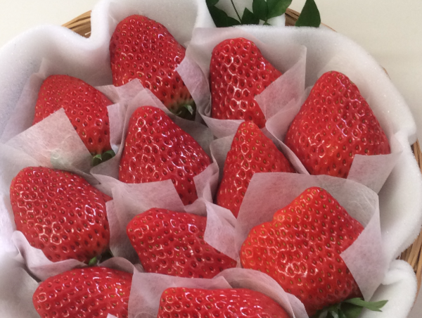 A17c9aaa61e80a1bf71d0d850af4e5baa9800bbd