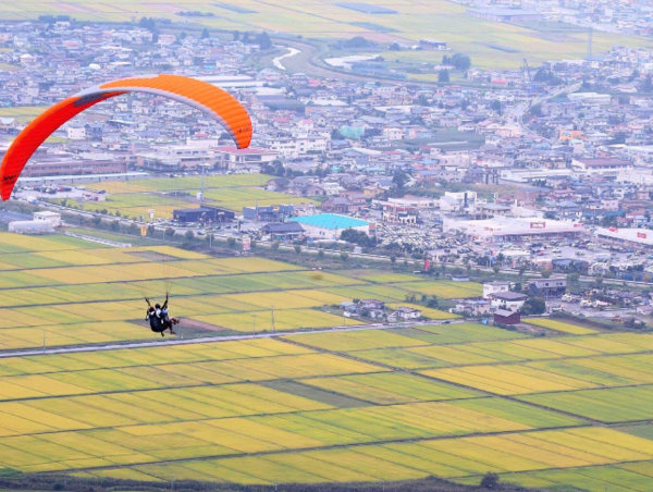 A17c9aaa61e80a1bf71d0d850af4e5baa9800bbd