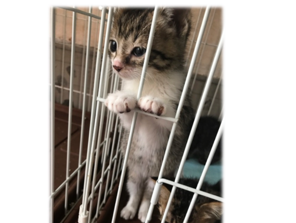 A17c9aaa61e80a1bf71d0d850af4e5baa9800bbd