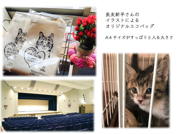 A17c9aaa61e80a1bf71d0d850af4e5baa9800bbd