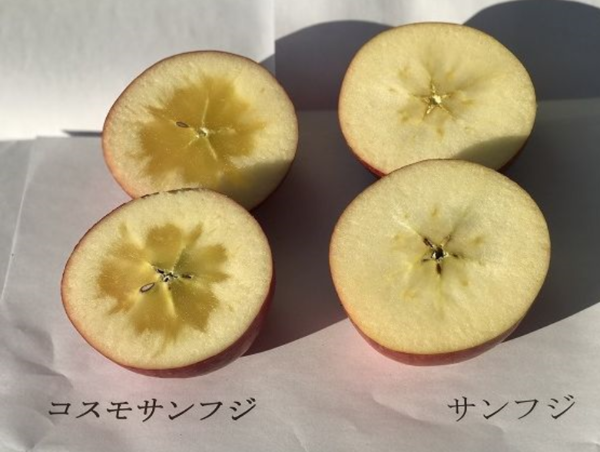 A17c9aaa61e80a1bf71d0d850af4e5baa9800bbd