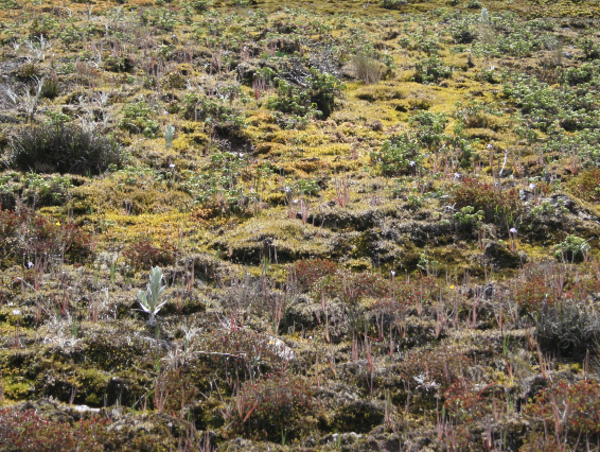 A17c9aaa61e80a1bf71d0d850af4e5baa9800bbd