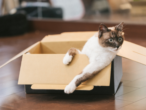 A17c9aaa61e80a1bf71d0d850af4e5baa9800bbd