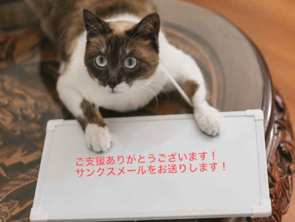 A17c9aaa61e80a1bf71d0d850af4e5baa9800bbd