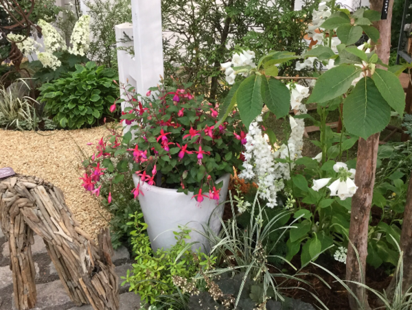 A17c9aaa61e80a1bf71d0d850af4e5baa9800bbd