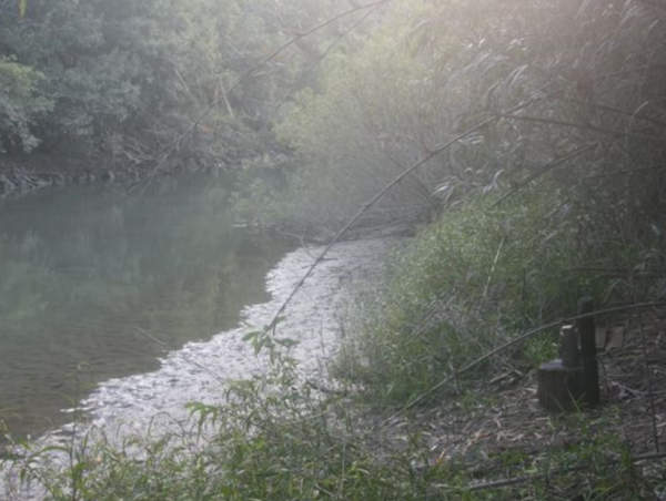 A17c9aaa61e80a1bf71d0d850af4e5baa9800bbd