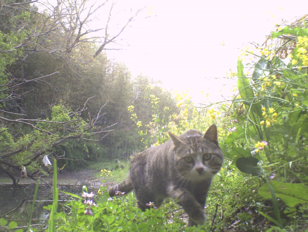 A17c9aaa61e80a1bf71d0d850af4e5baa9800bbd