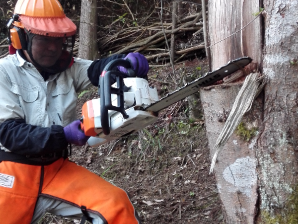 A17c9aaa61e80a1bf71d0d850af4e5baa9800bbd