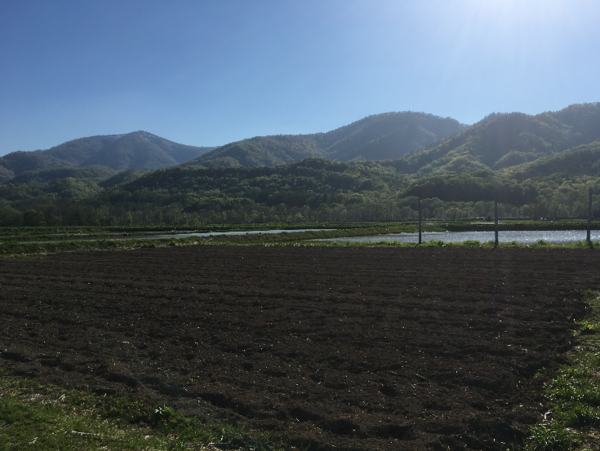 A17c9aaa61e80a1bf71d0d850af4e5baa9800bbd